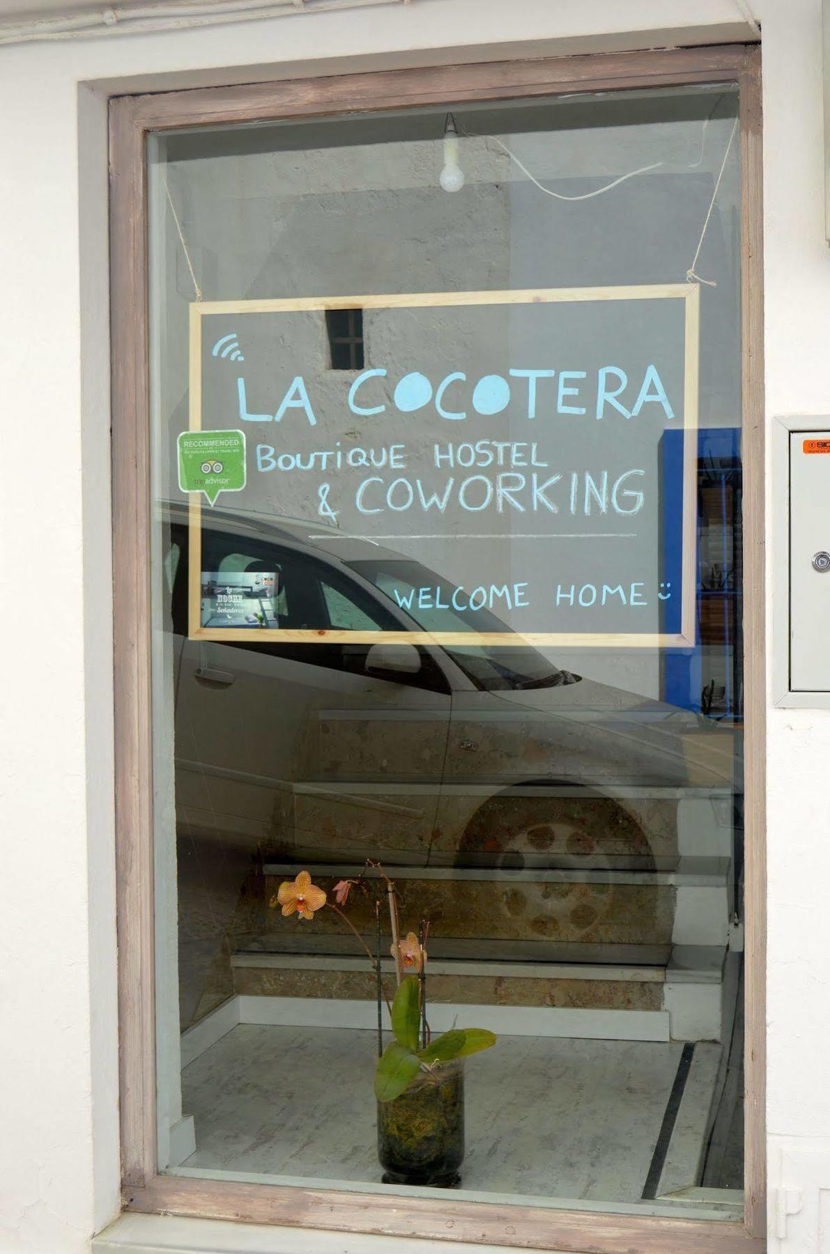 La Cocotera Boutique Hostel & Coworking Tarifa Eksteriør billede